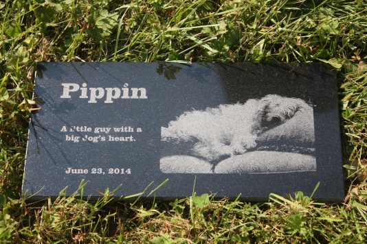 Black Granite Pet Memorial